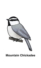 Load image into Gallery viewer, BirdMatch Rocky Mountain Edition | Memory game |
