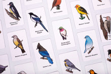 Load image into Gallery viewer, BirdMatch two pack!
