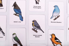 Load image into Gallery viewer, BirdMatch two pack!
